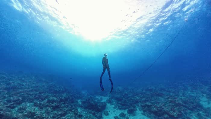 A scuba diver silhouetted against the bright surface above a shallow reef
