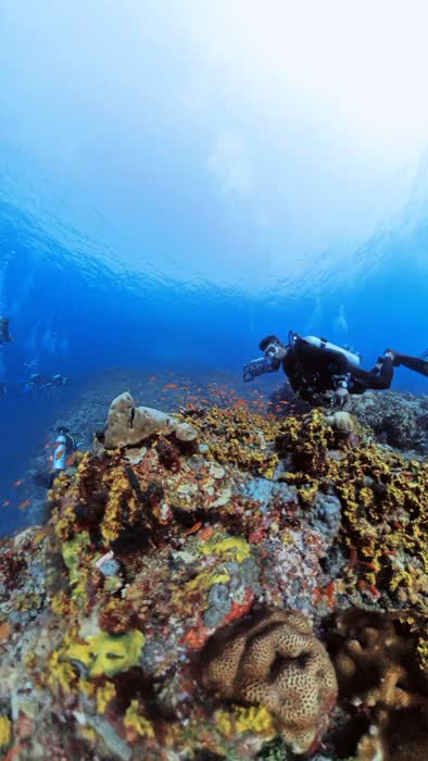 A diver hovering above a coral outcrop covered in soft corals