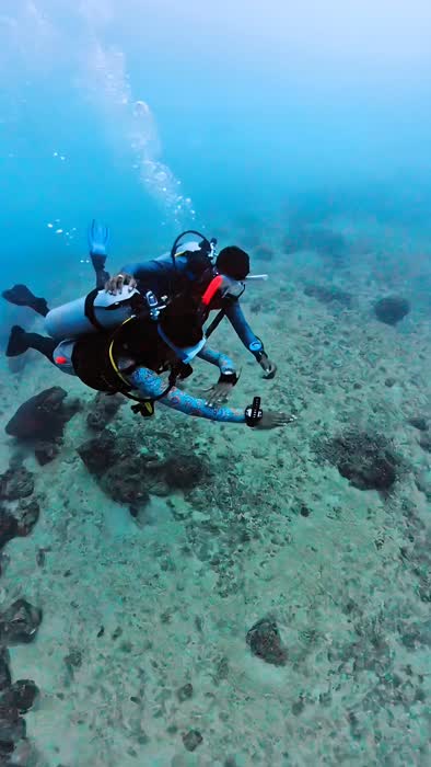 An instructor swimming alongside a student close to the reef