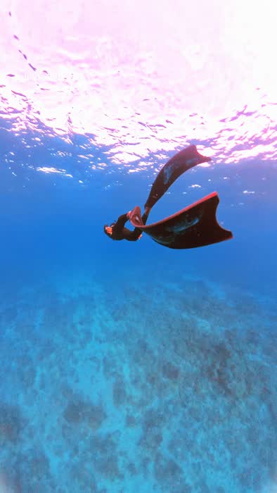 A snorkeller finning just beneath the surface in shallow turquoise water